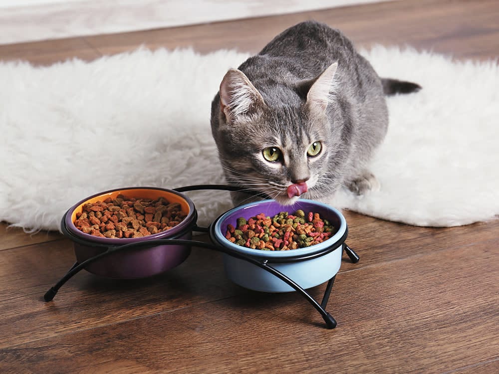 Katzenmöbel: Stilvolle Einrichtungsideen für glückliche Samtpfoten