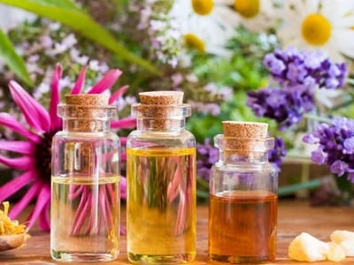 Bachblüten: Erleben Sie die Expertise von Jeroen Covemaeker, der seit über 10 Jahren maßgeschneiderte Bachblütenmischungen anbietet