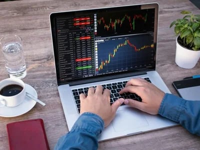Immediate Growth: Die Plattform für nachhaltiges Investmentwissen und persönliche Finanzbildung