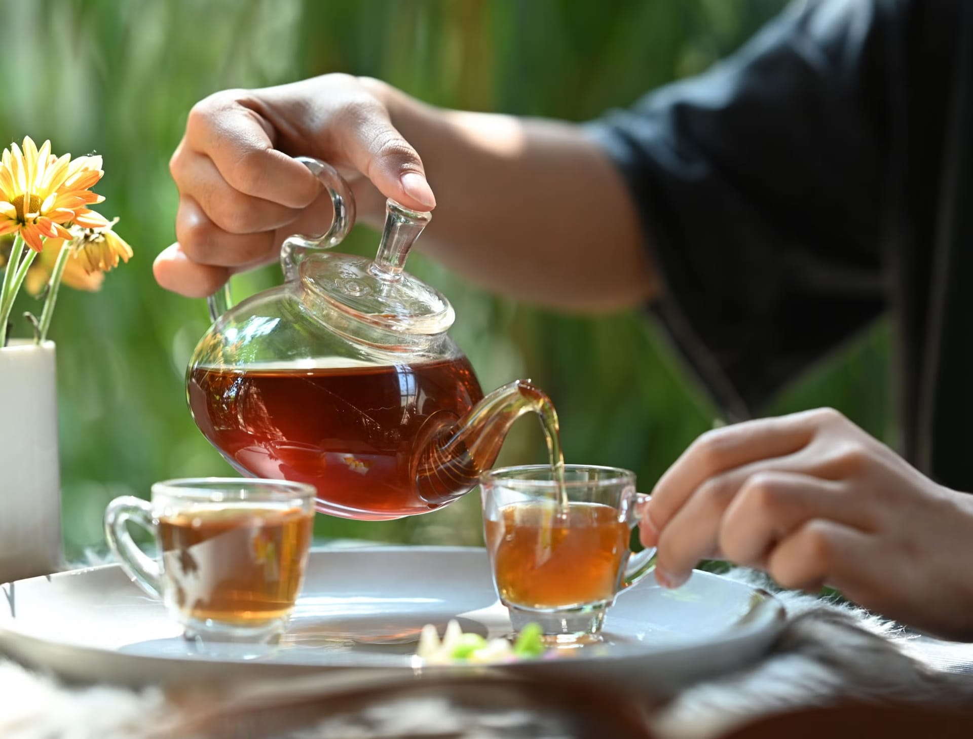 Fit durch alle Jahreszeiten – Bio-Kräutertee für Immunsystem stärken entdecken