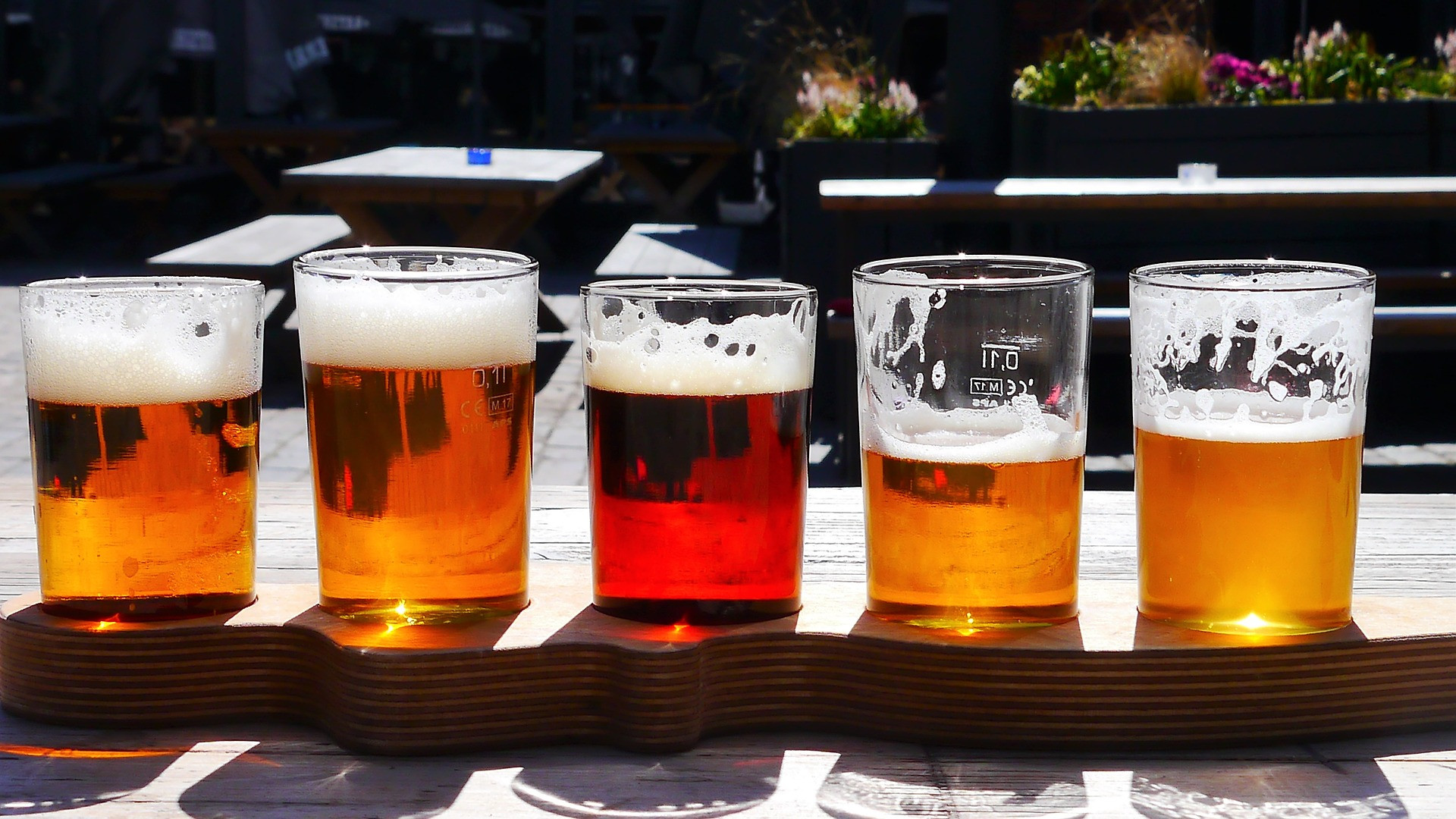 Beer Tour Pilsen – Die ultimative Bierliebhaber-Erfahrung im Herzen von Böhmen