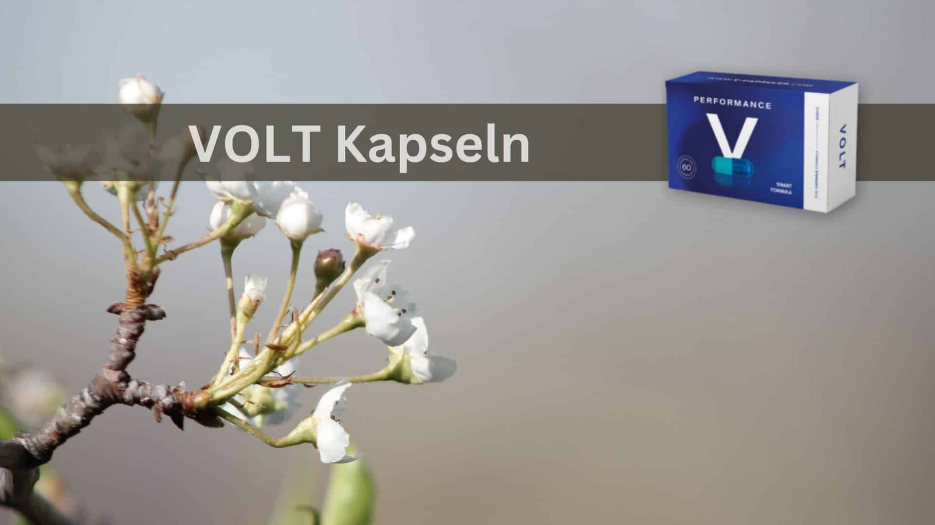 V Volt Performance Kapseln: Boost Your Energy Levels