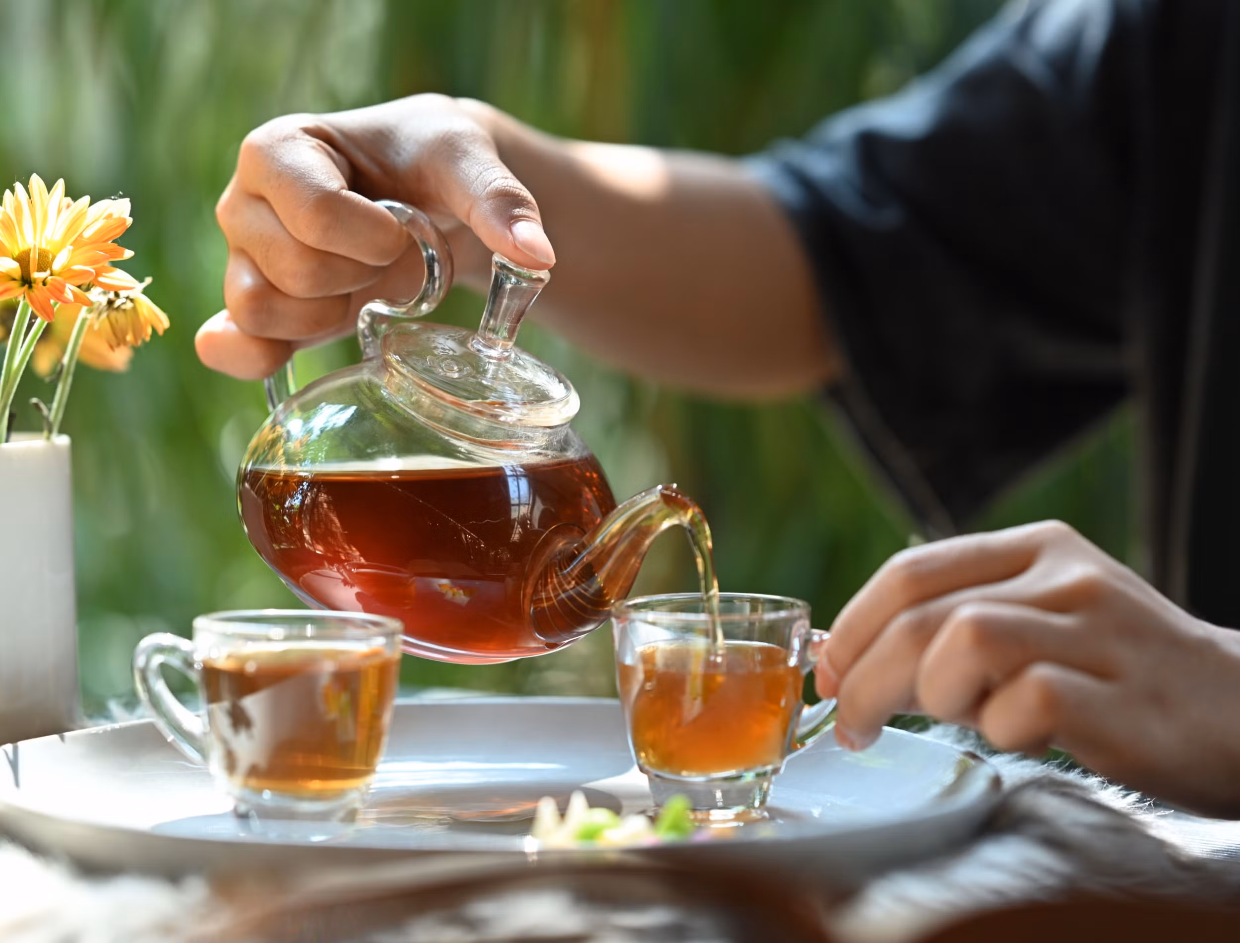 Fit durch alle Jahreszeiten – Bio-Kräutertee für Immunsystem stärken entdecken