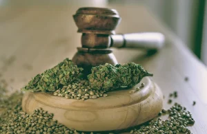 is-it-legal-to-buy-weed-seeds-online